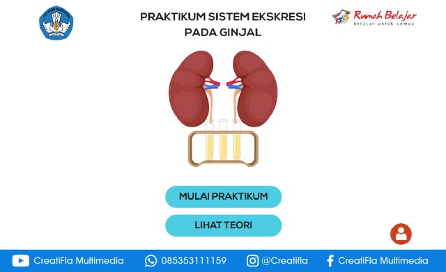 Virtual Lab Sistem Ekskresi Pada Ginjal