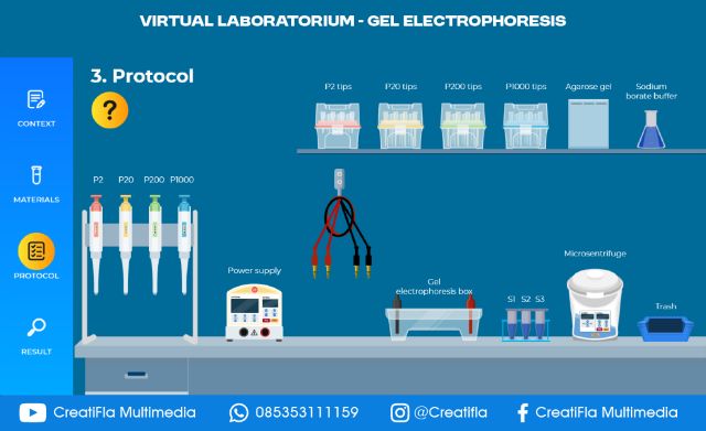 Virtual Lab Gel Electrophoresis